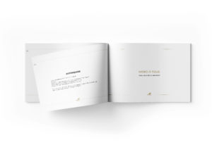 Branding pour Concession Automobiles